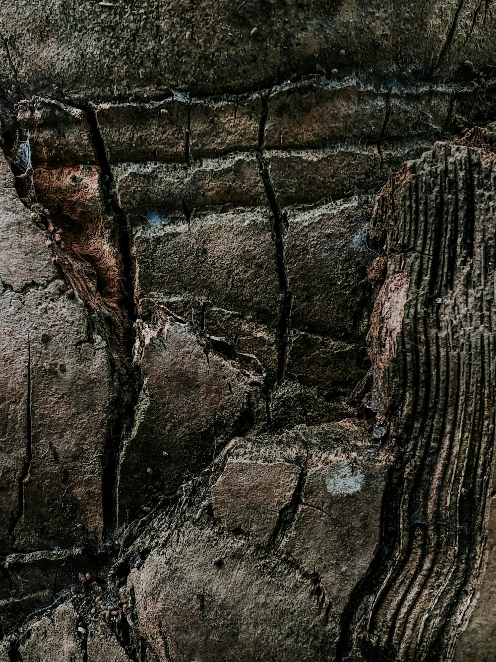 a close up of a rock wall with cracks in it