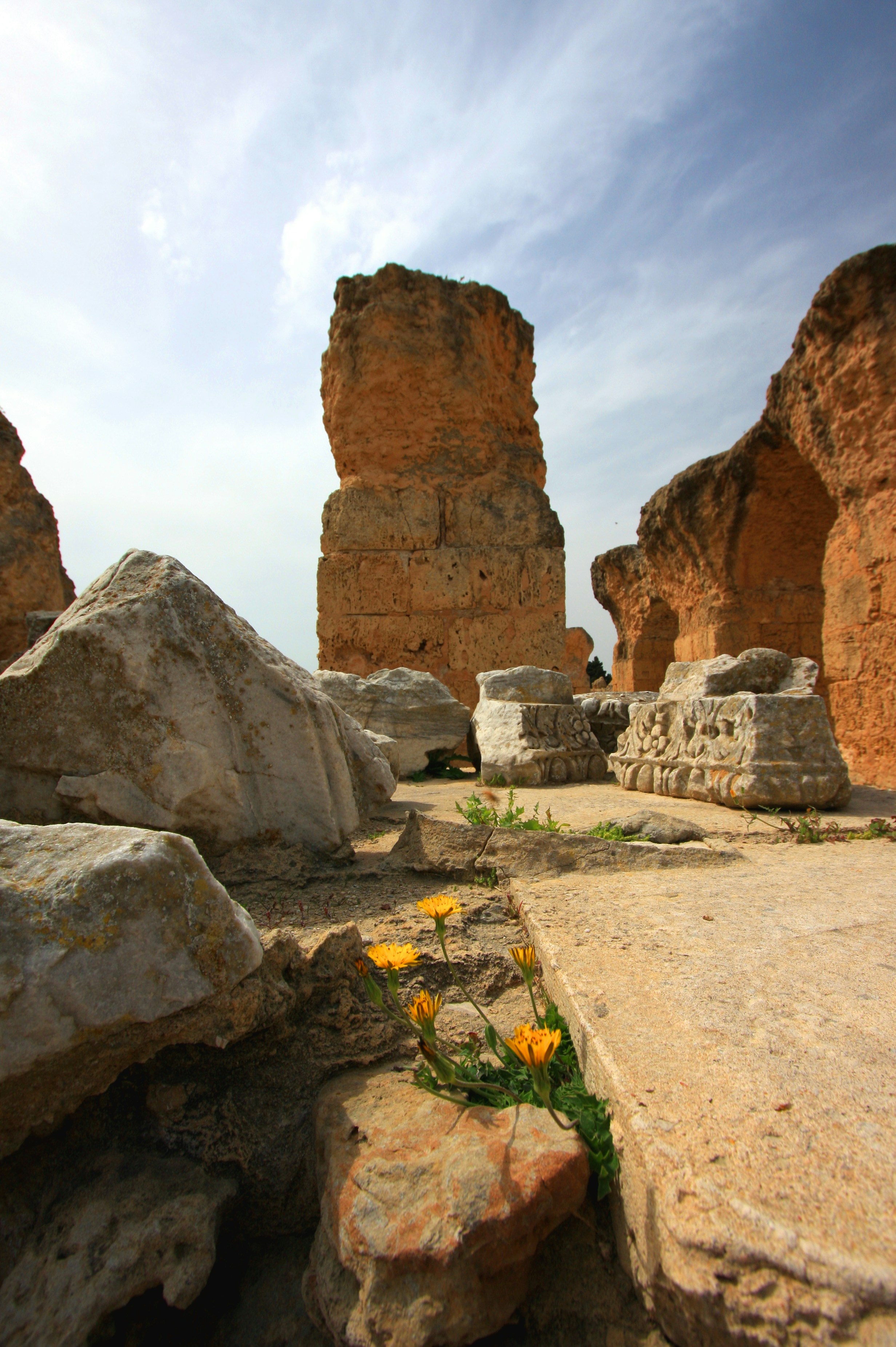                                 TAOA MINISTRIES INC's image