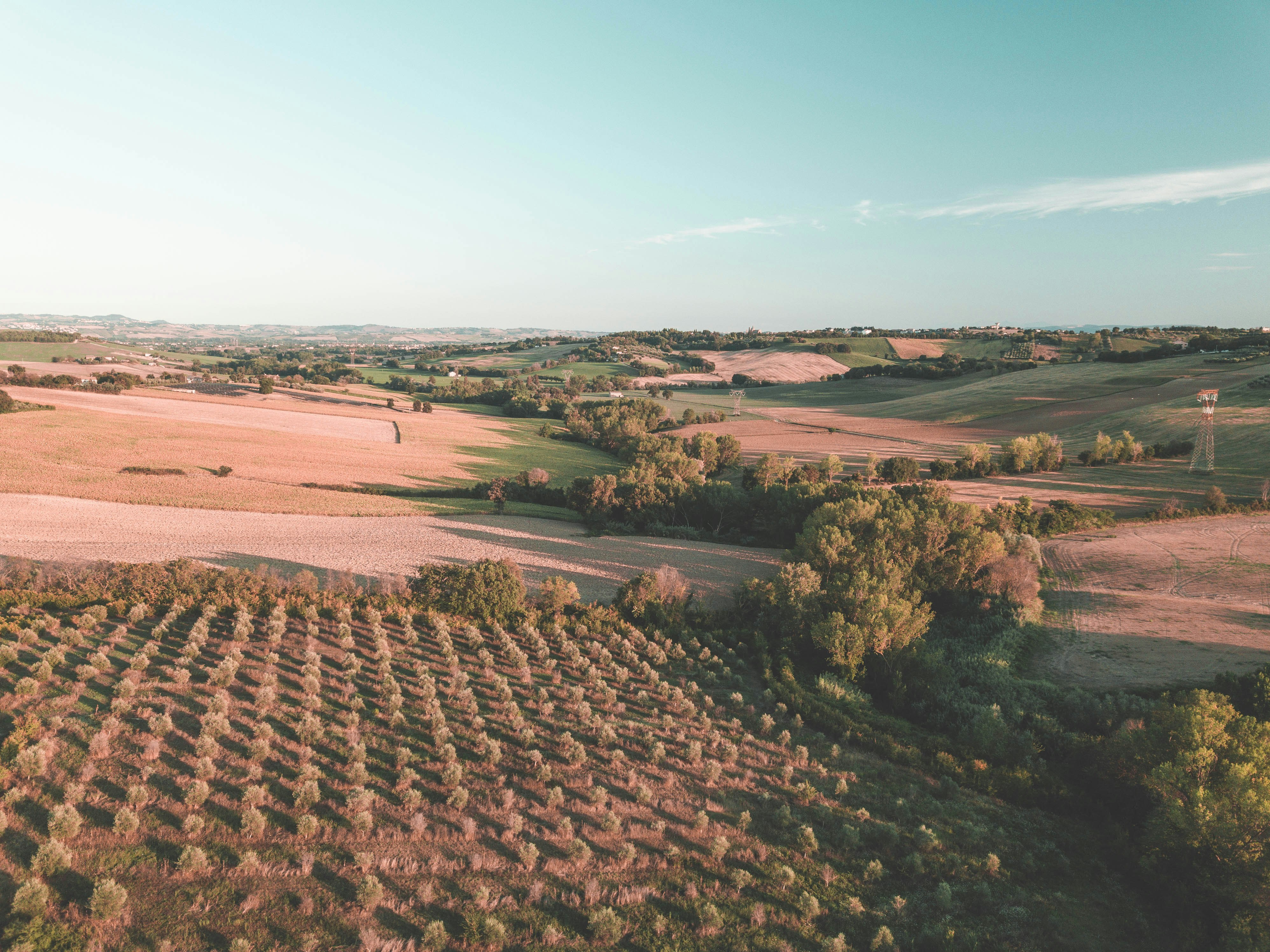 Photo by giordanorossoni