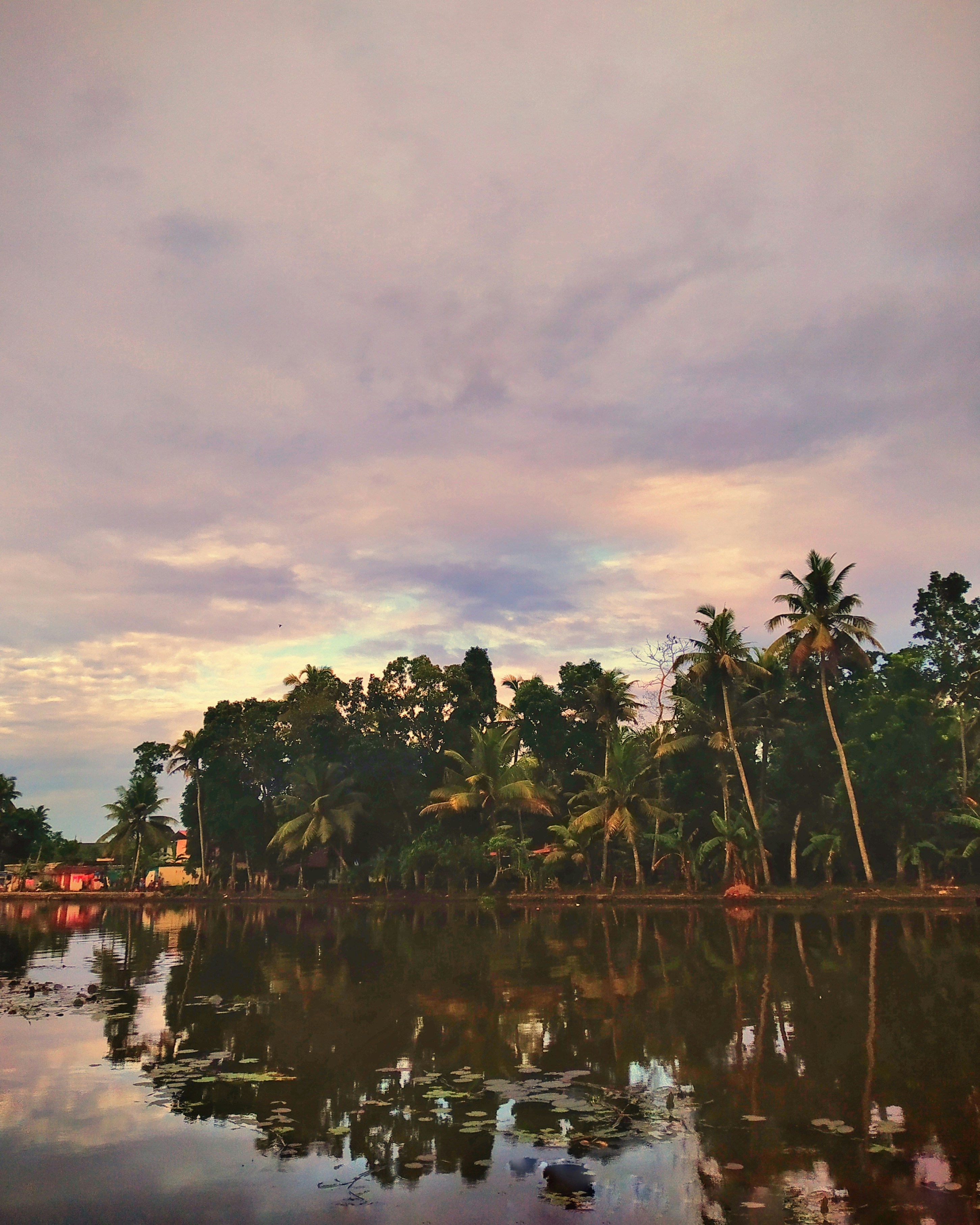 Backwaters of Kerala