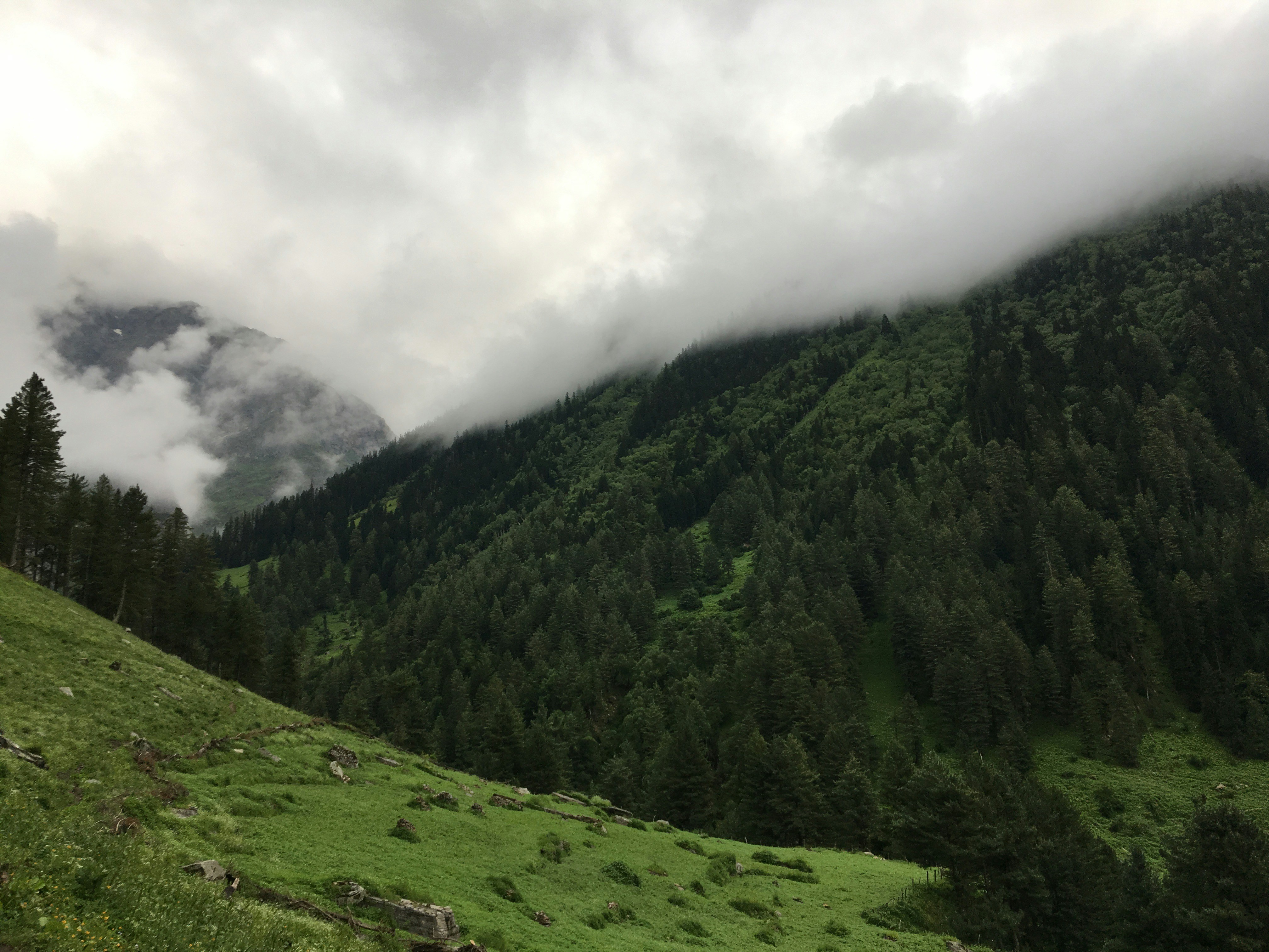Photo by rajkaustubh32