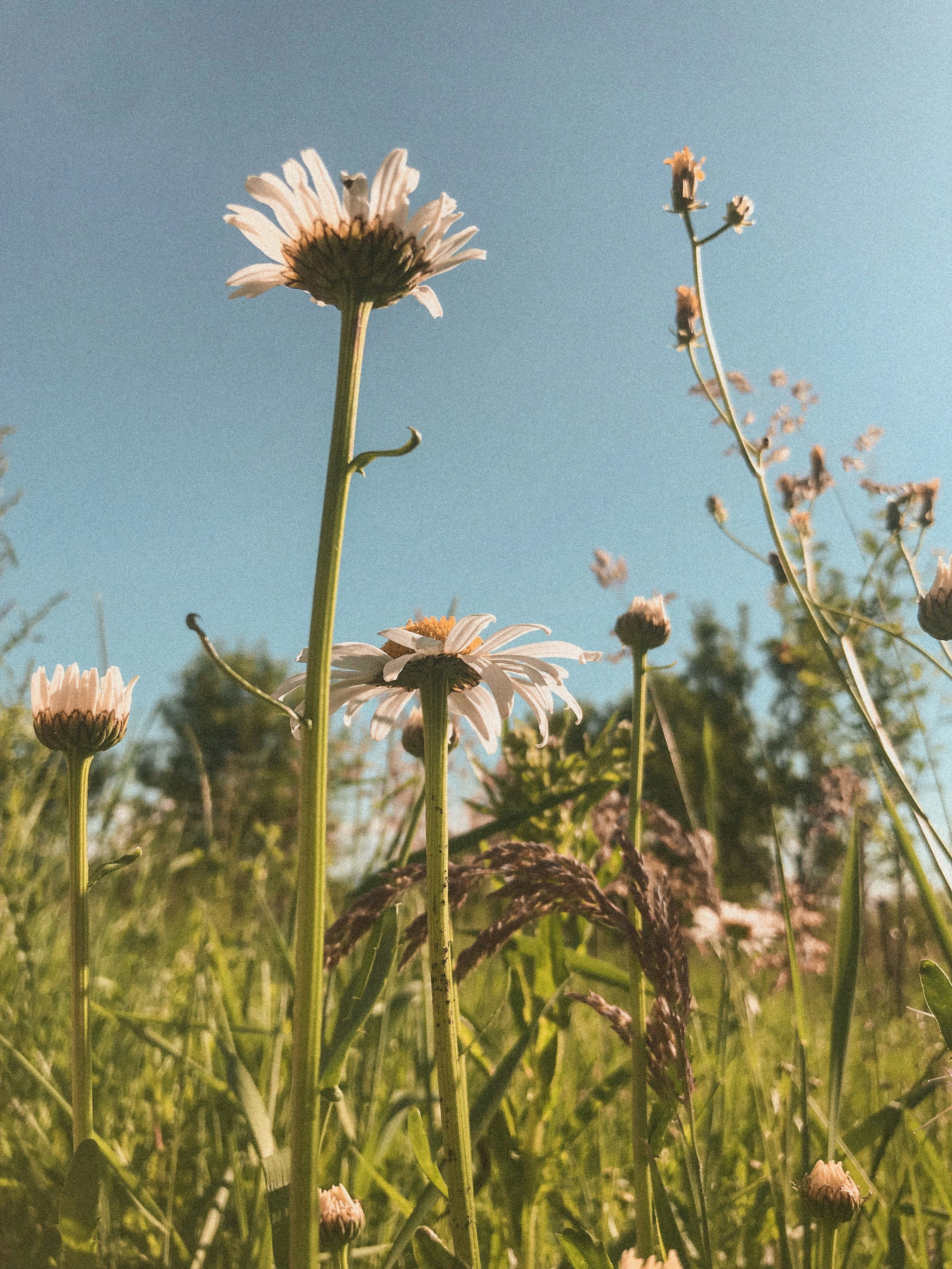 Photo by crinaparasca