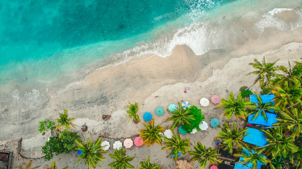 Fotografía aérea de sombrillas cerca de la playa