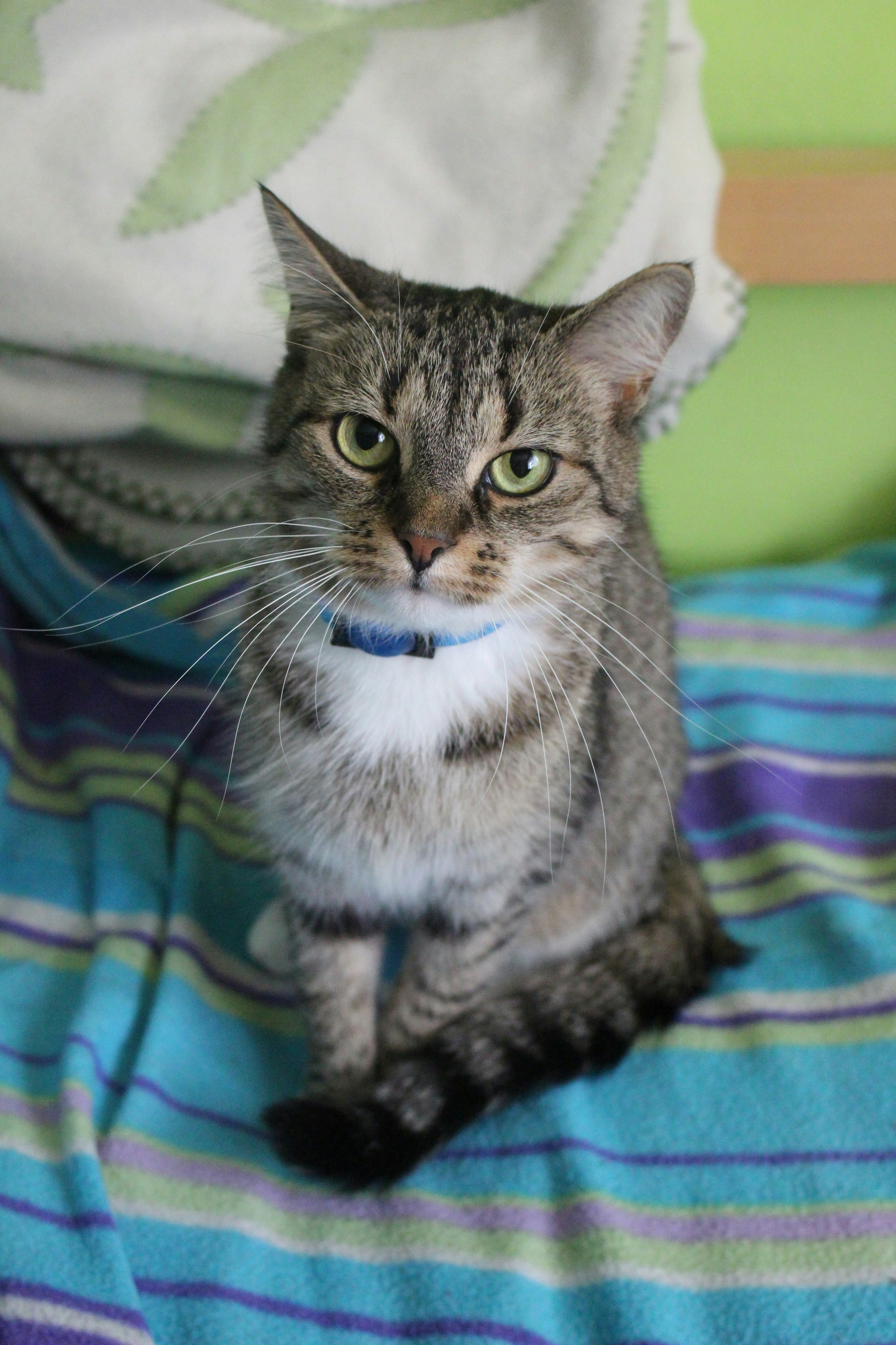 Photo by marjorylucabaxter