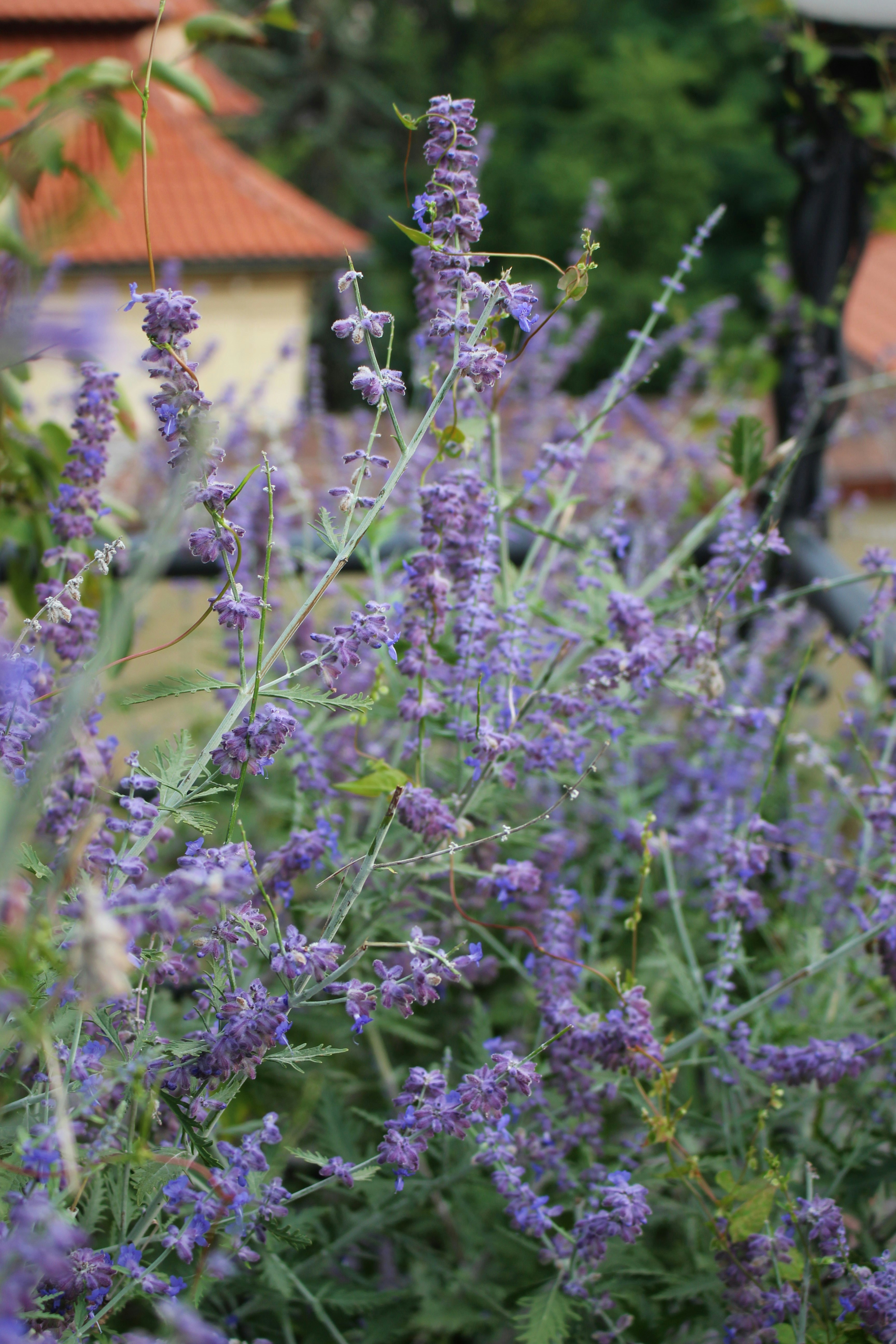 Photo by marjorylucabaxter