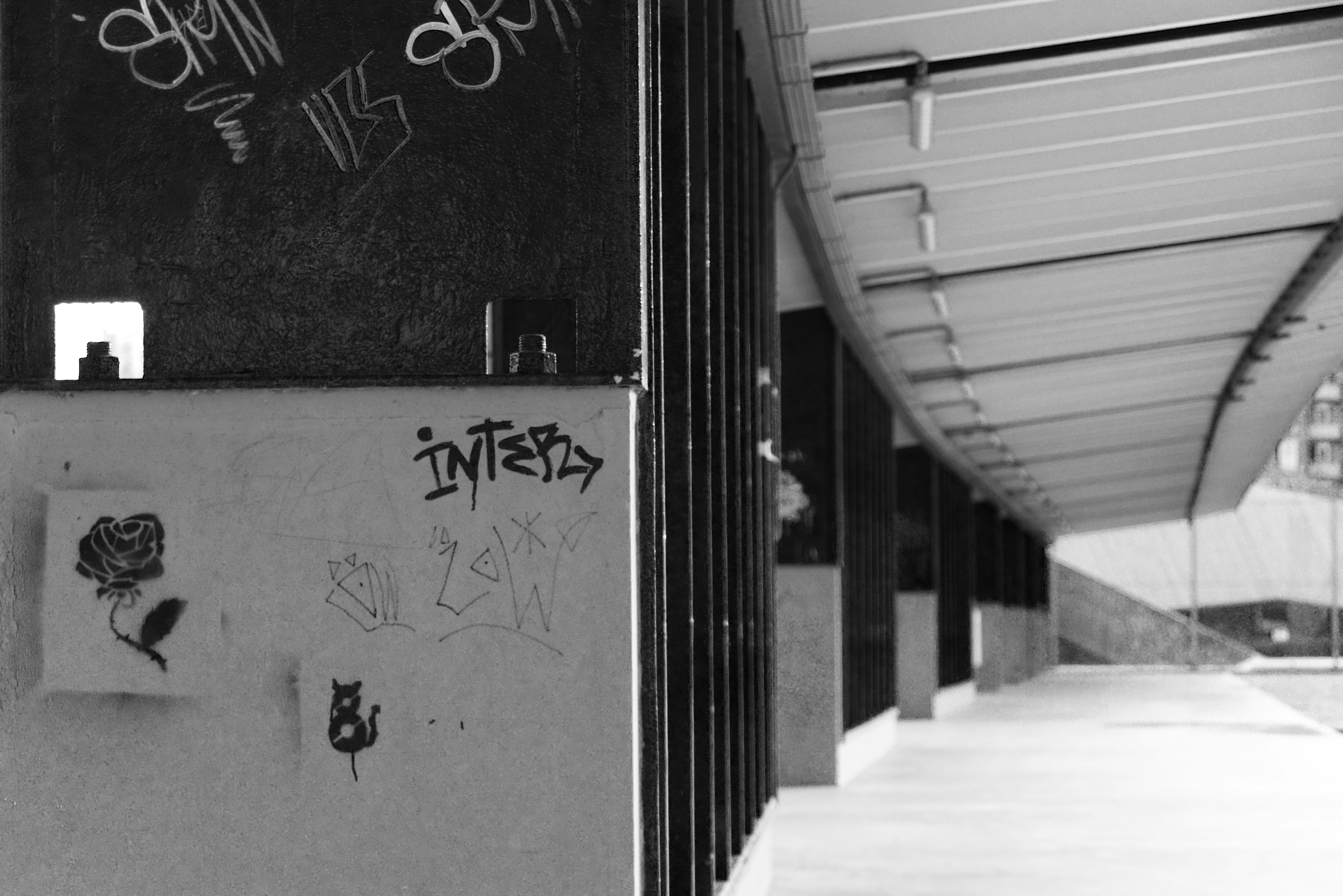 Photo by joerivdende