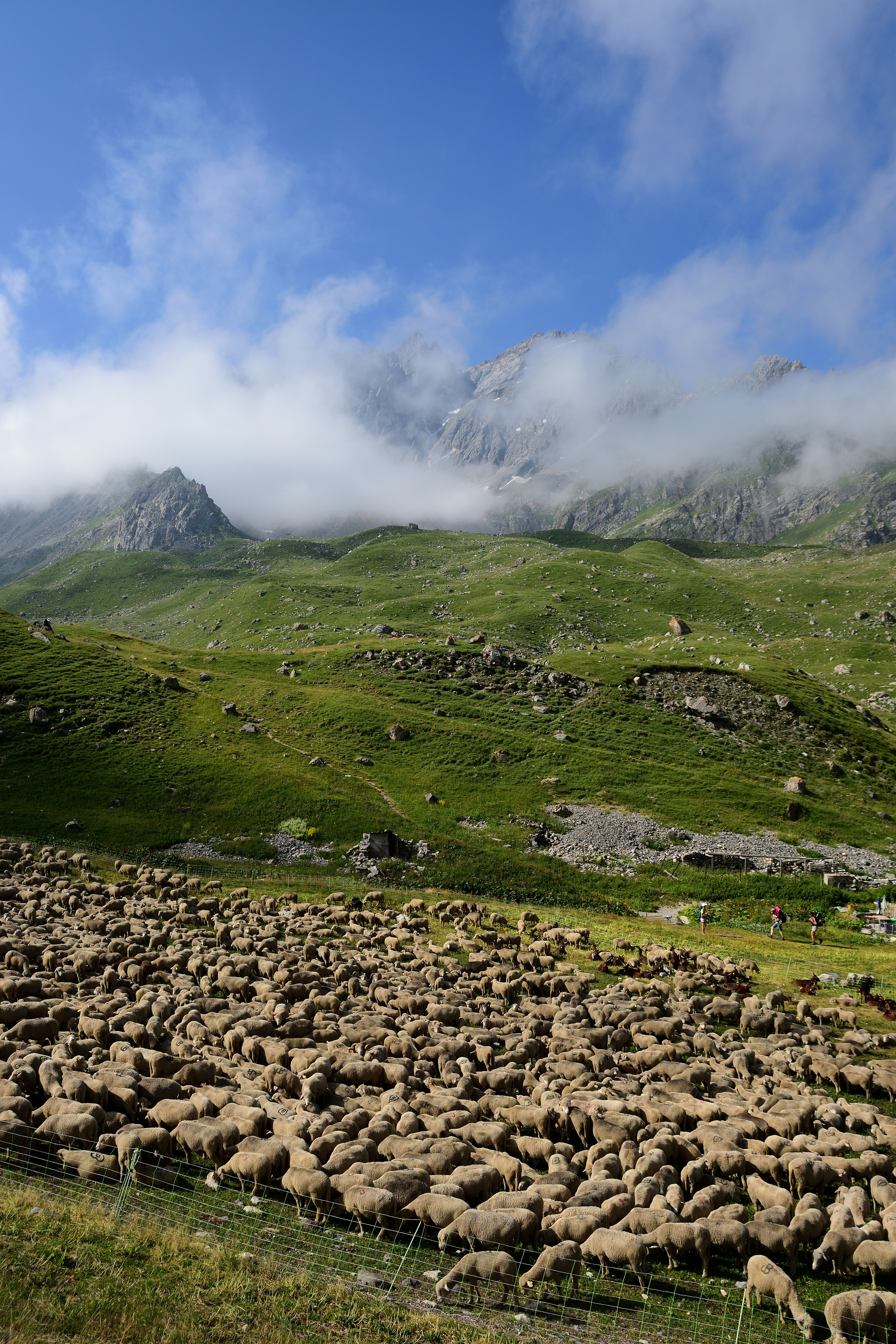 Photo by bertrand1212