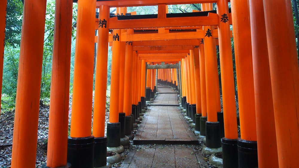 empty hallway under orange pillared building