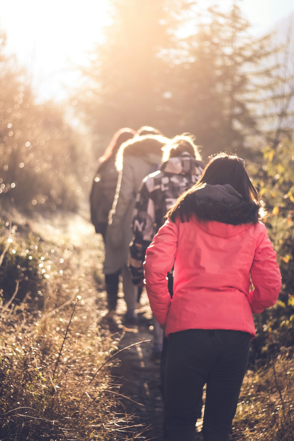 four woman walking up hill