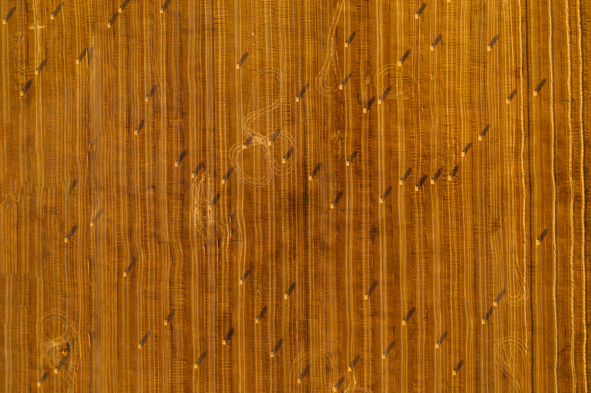 木材の表面 クローズアップ