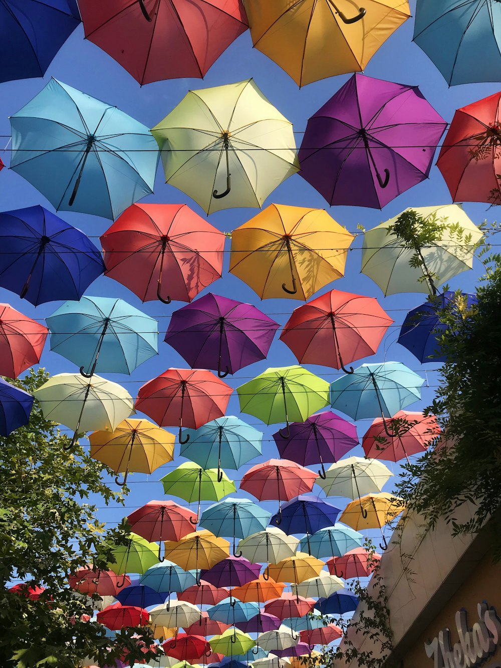Foto techo de sombrillas de colores variados – Imagen Odesa gratis en  Unsplash