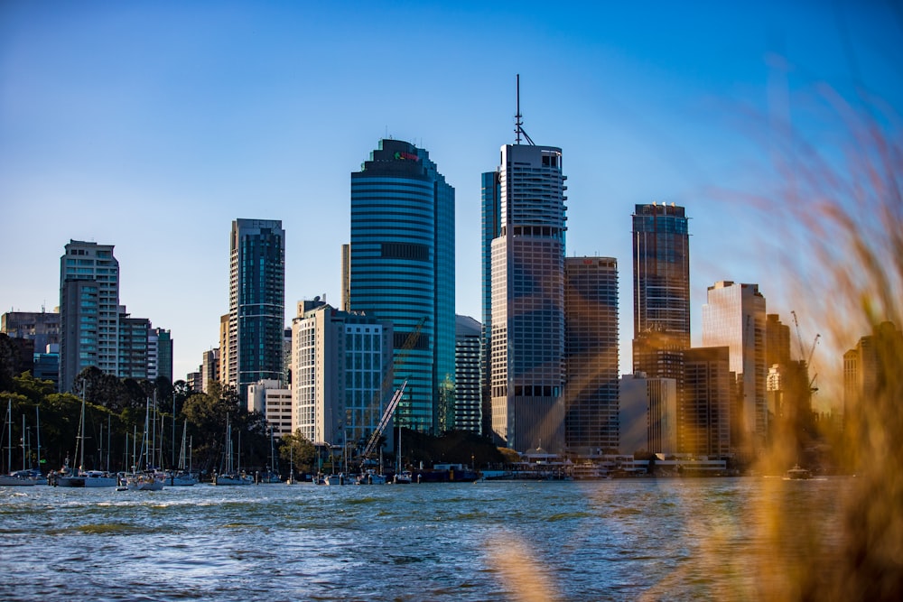 city skyline under clear blue sky during daytime