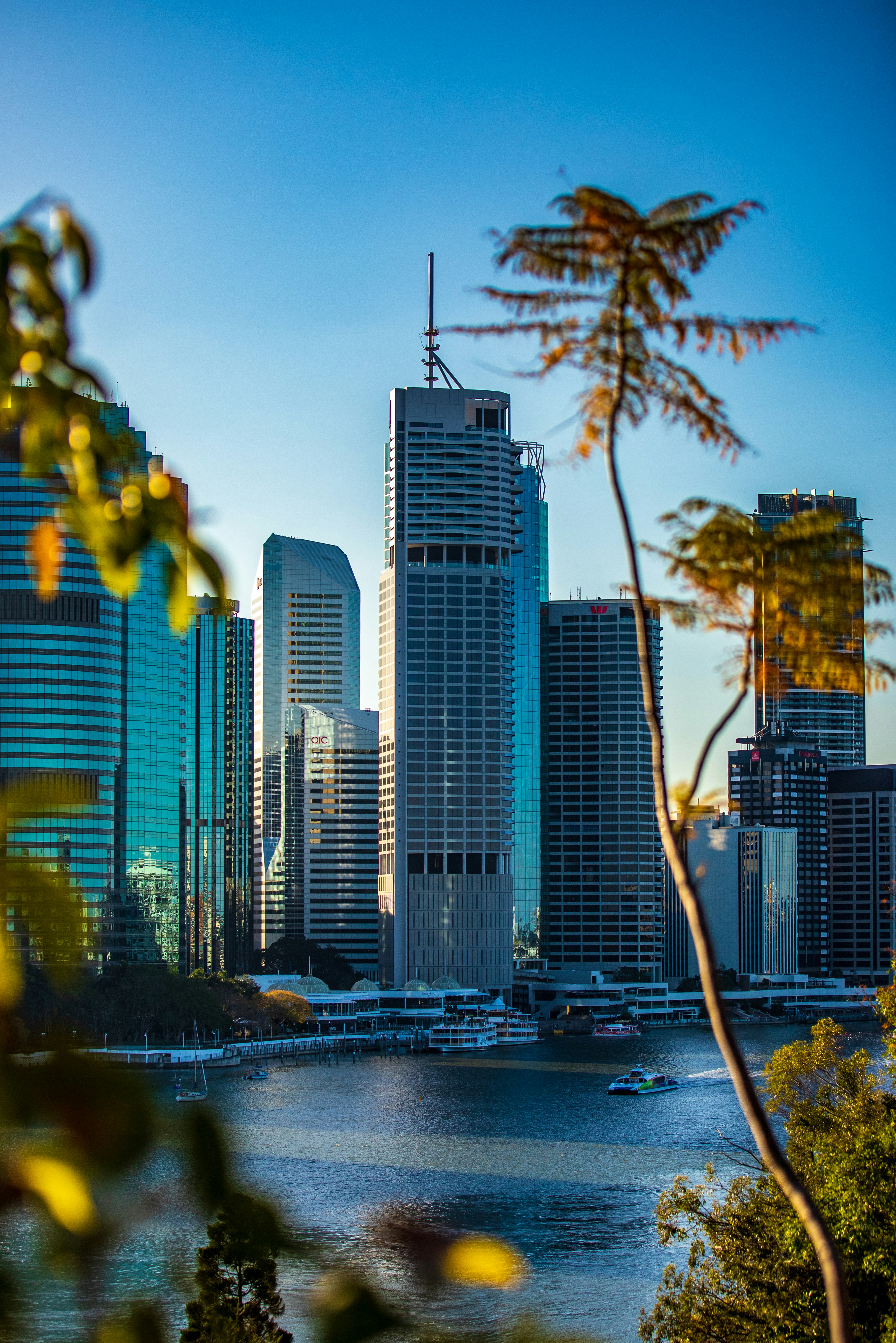 Photo by brisbanelocalmarketing