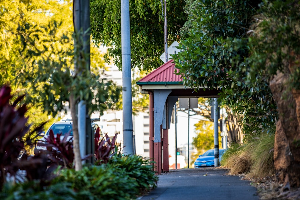 car passing near booth under tree