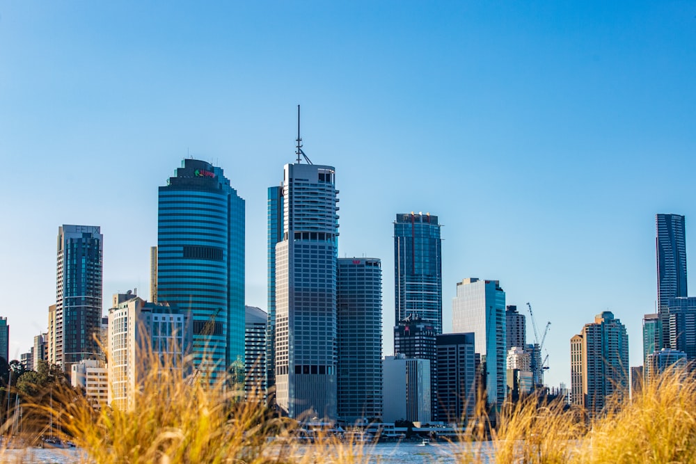 Skyline der Stadt unter strahlend blauem Himmel während des Tages