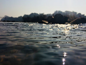 Bankura
