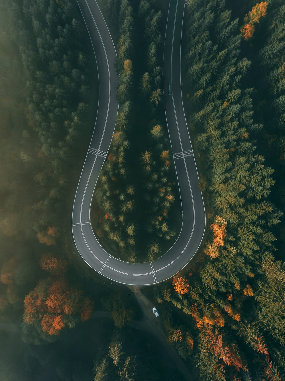 aerial photo of curved road