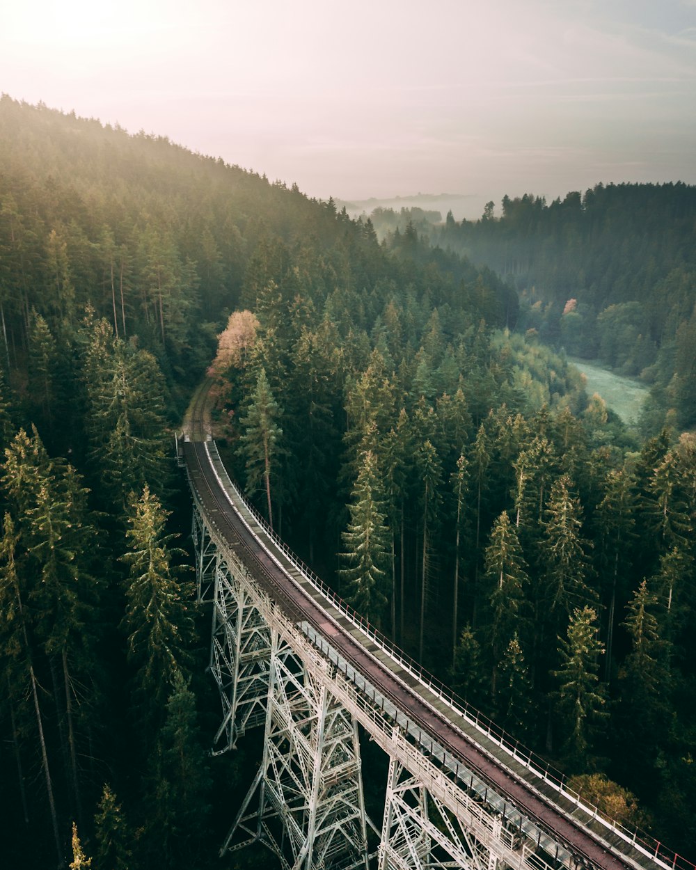 empty bridge among treews