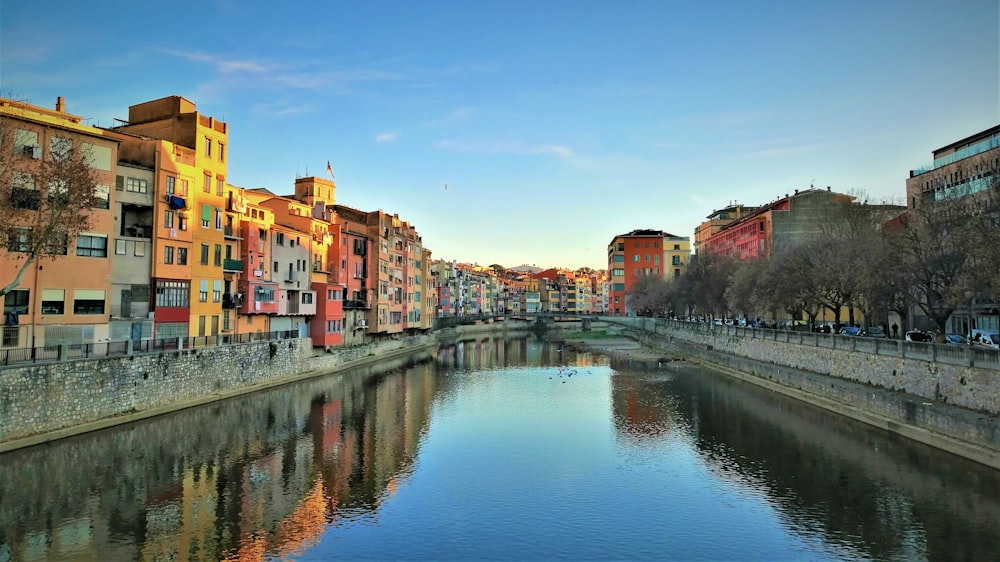 assorted-color concrete buildings beside body of water