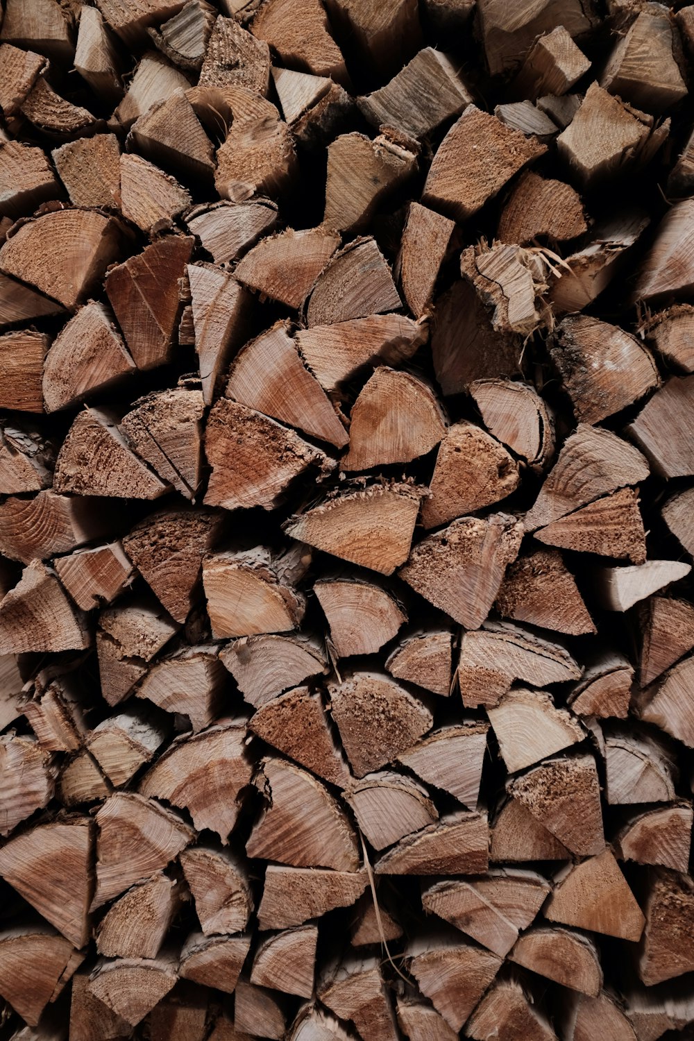 pile of brown firewood