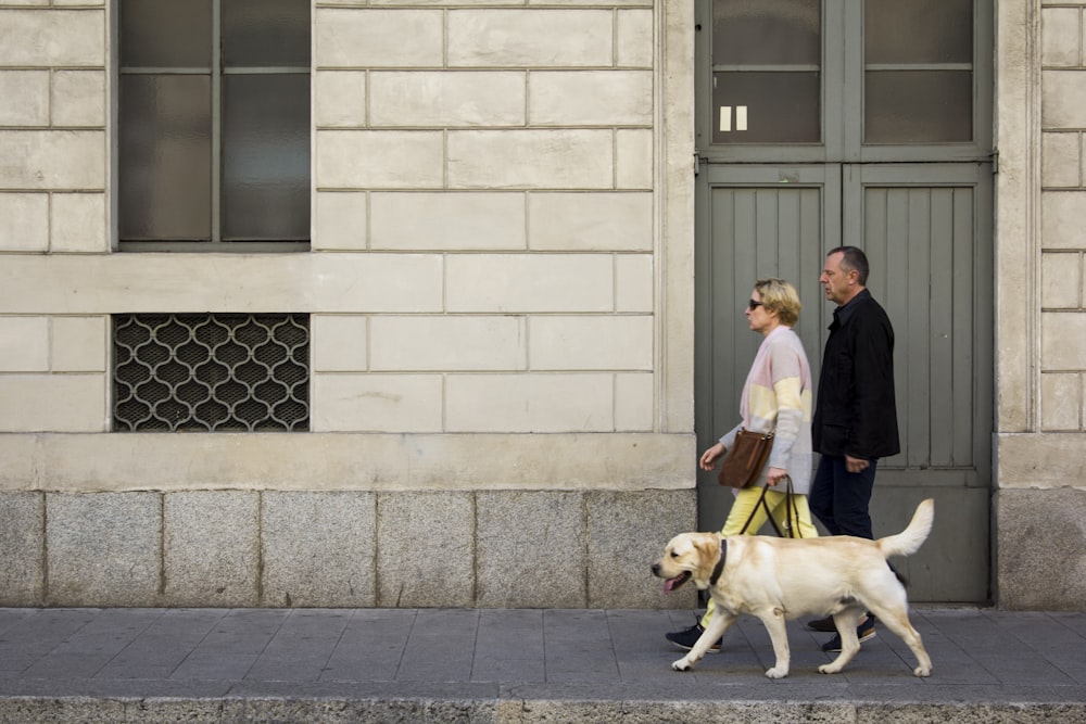man and woman walking with Labrador retriever in front of closed door