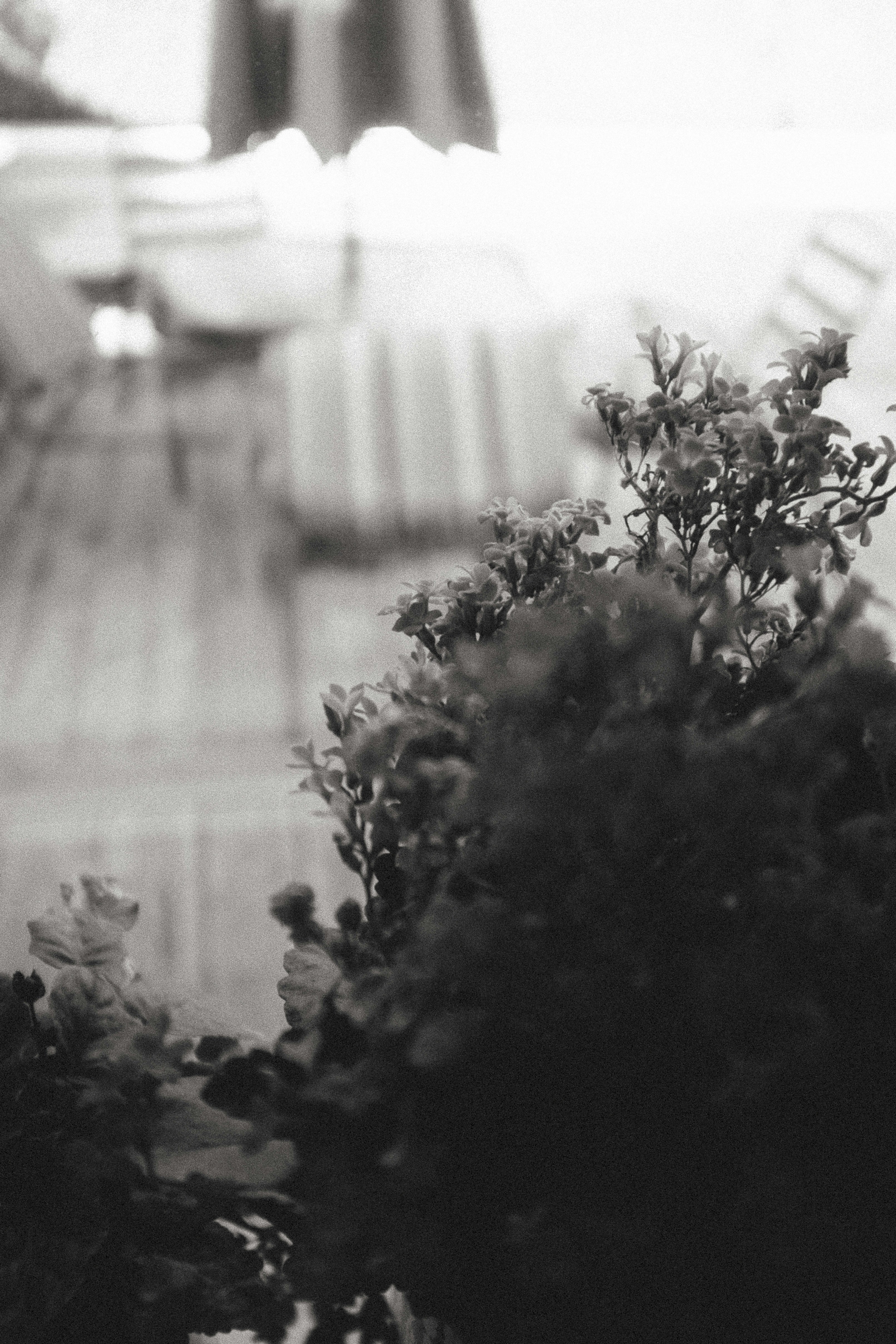 Photo by tristan_gevaux