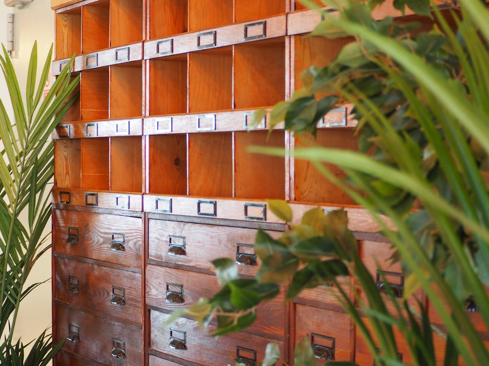 brown wooden shelf