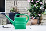 green watering can