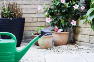 A green watering can is positioned on a gravel surface next to several terracotta pots filled with flowering plants. A large, lush green plant is visible in the background alongside a brick wall. Pink flowers and a decorative butterfly add touches of color to the scene.