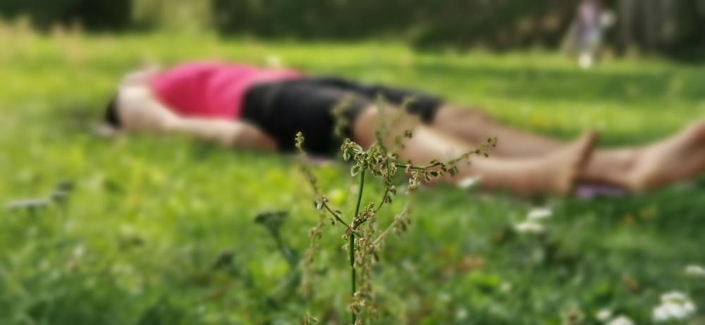 person lying on green grass near outdoor during daytime