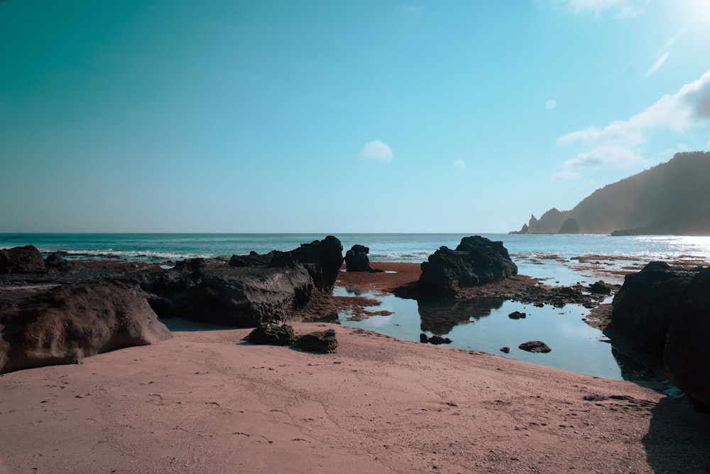 body of water near shore