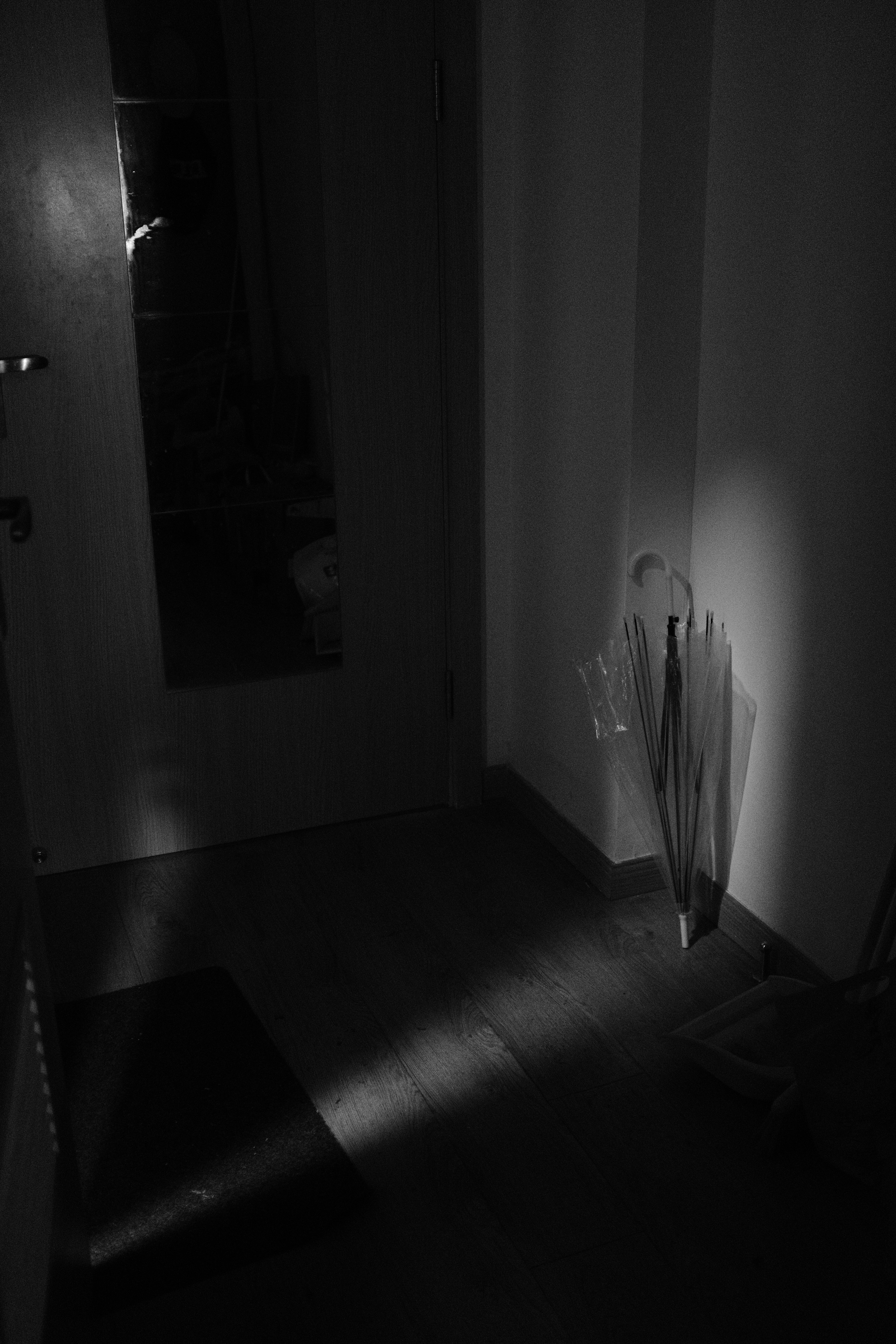 Photo by kennyzhang29