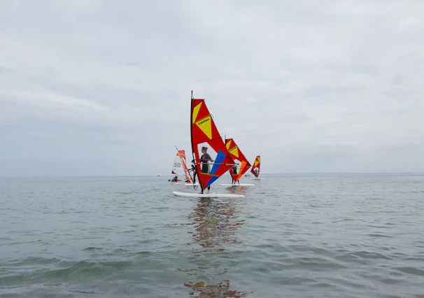 A group of friends windsurfing with colorful sails on a breezy day.