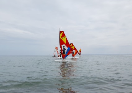 Several windsurfers are gliding across a calm body of water. They are equipped with vibrant sails featuring red, yellow, and blue colors. The horizon is visible in the distance under a cloudy sky.