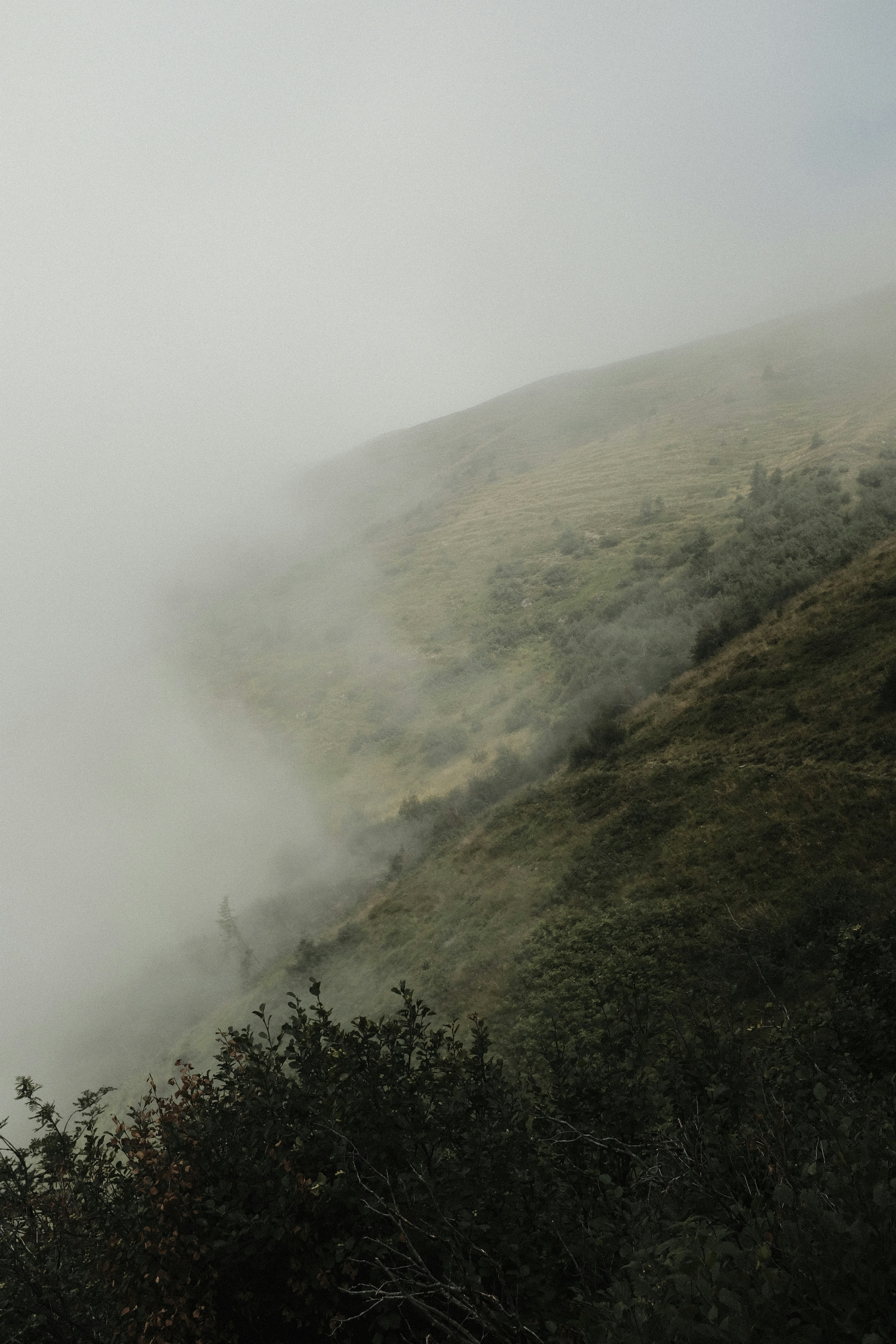 Photo by studiopizza