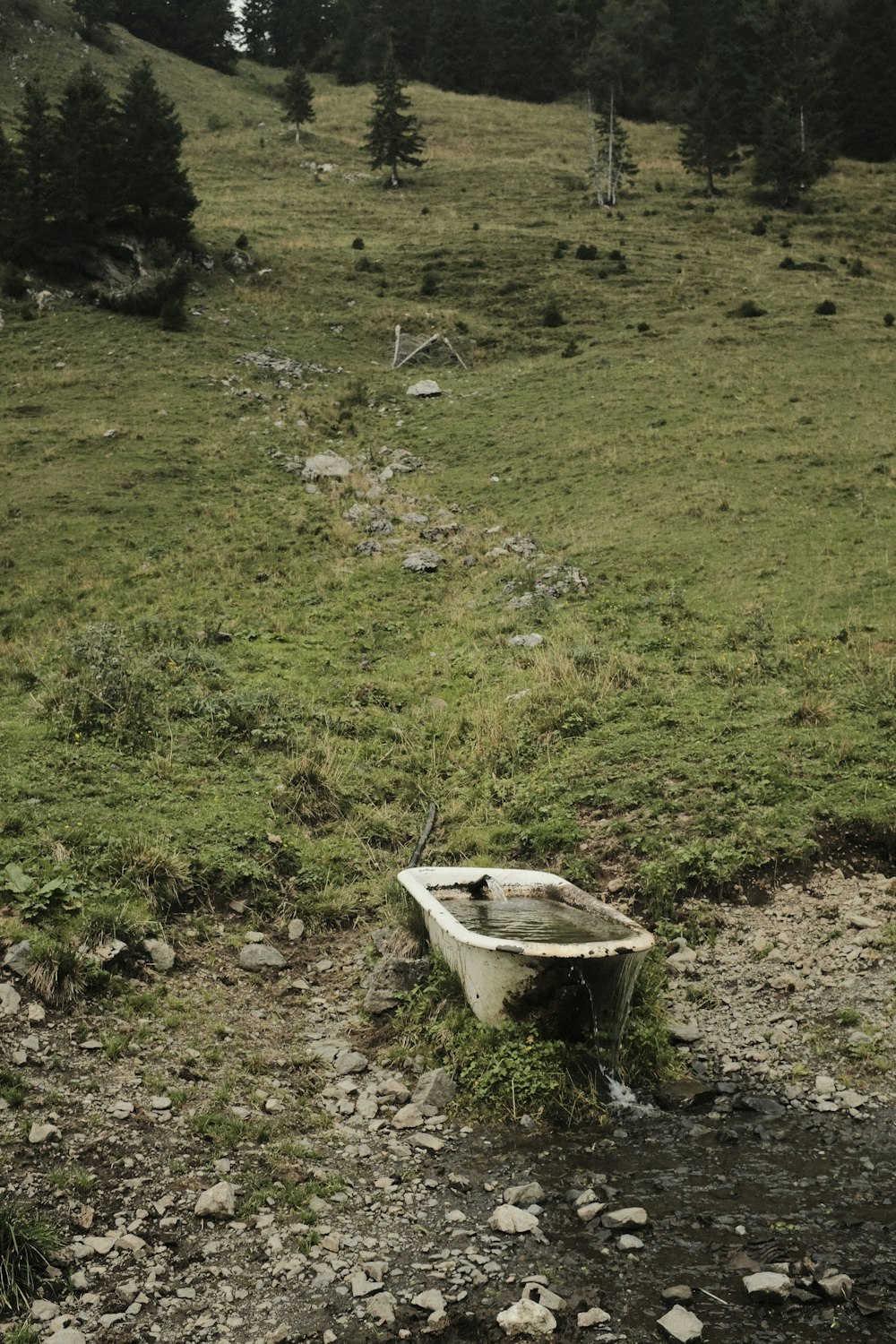 Cuenca de agua