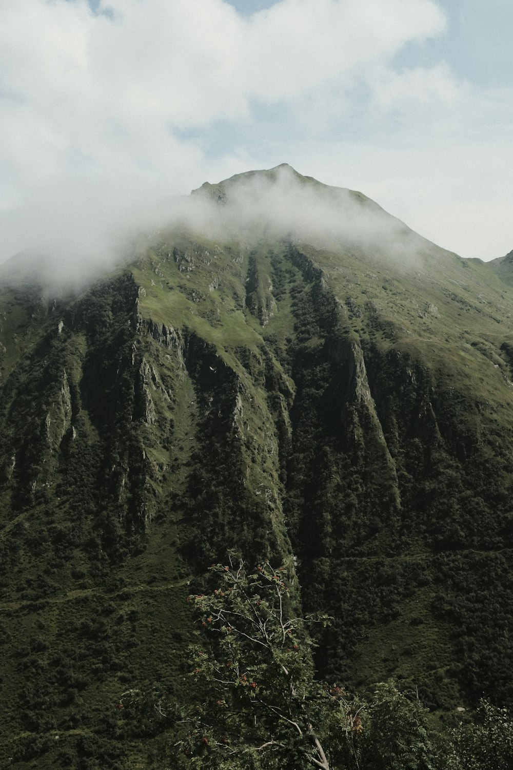 aerial view of mountain during daytime