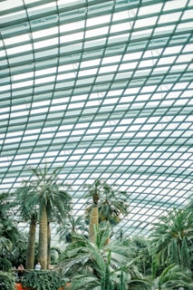 green indoor garden