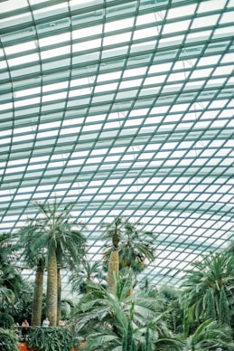 green indoor garden
