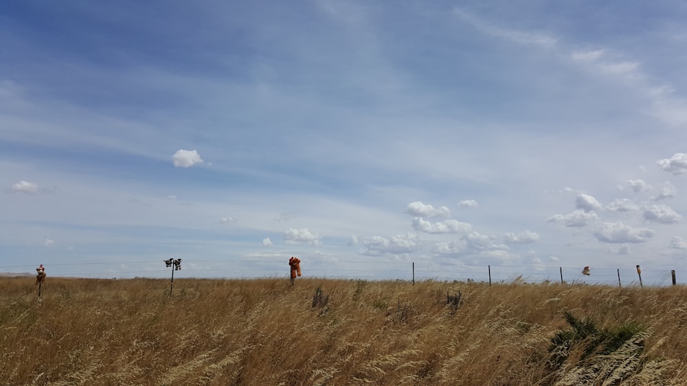 a couple of people that are standing in the grass