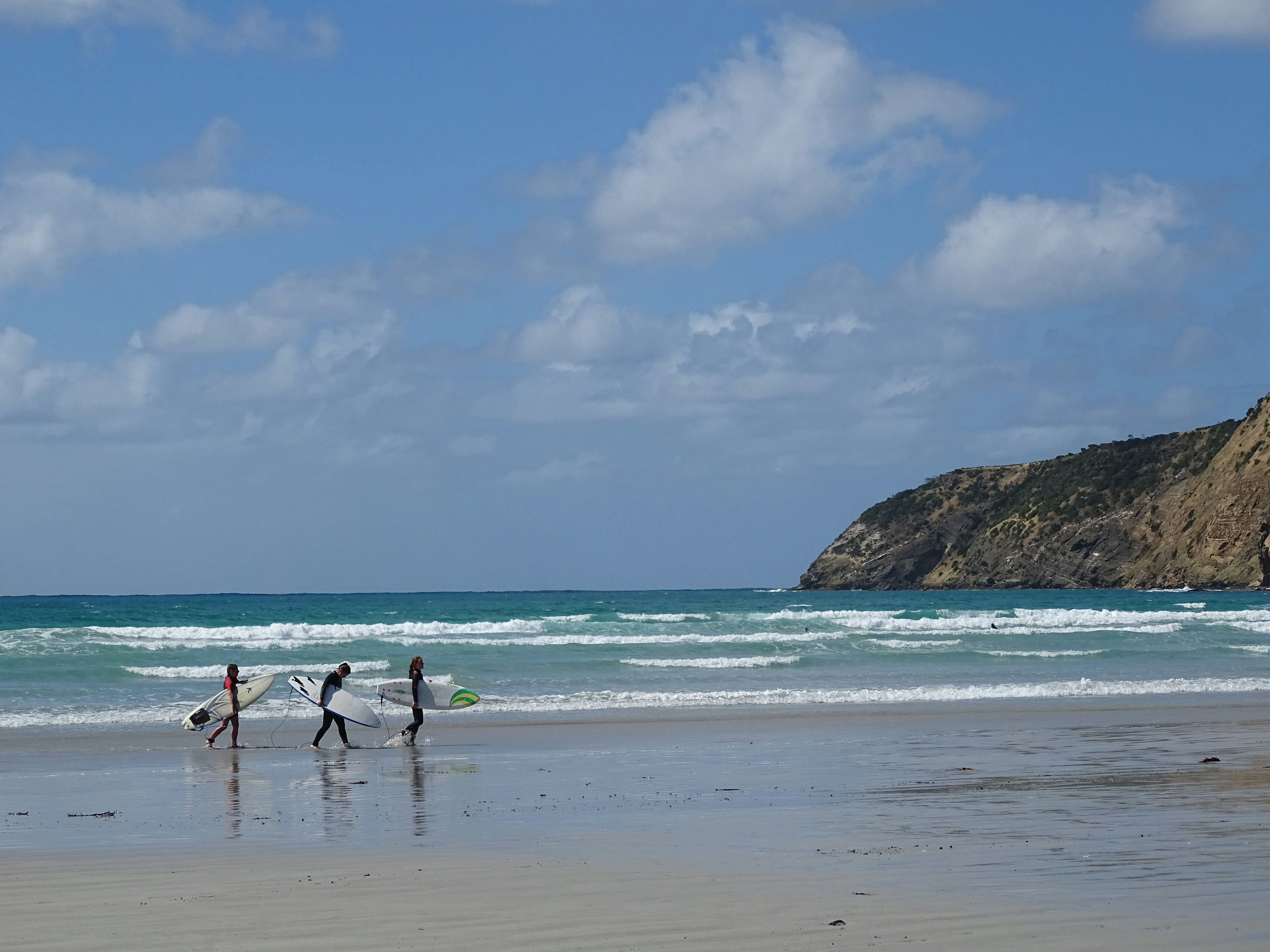 people walking on shore
