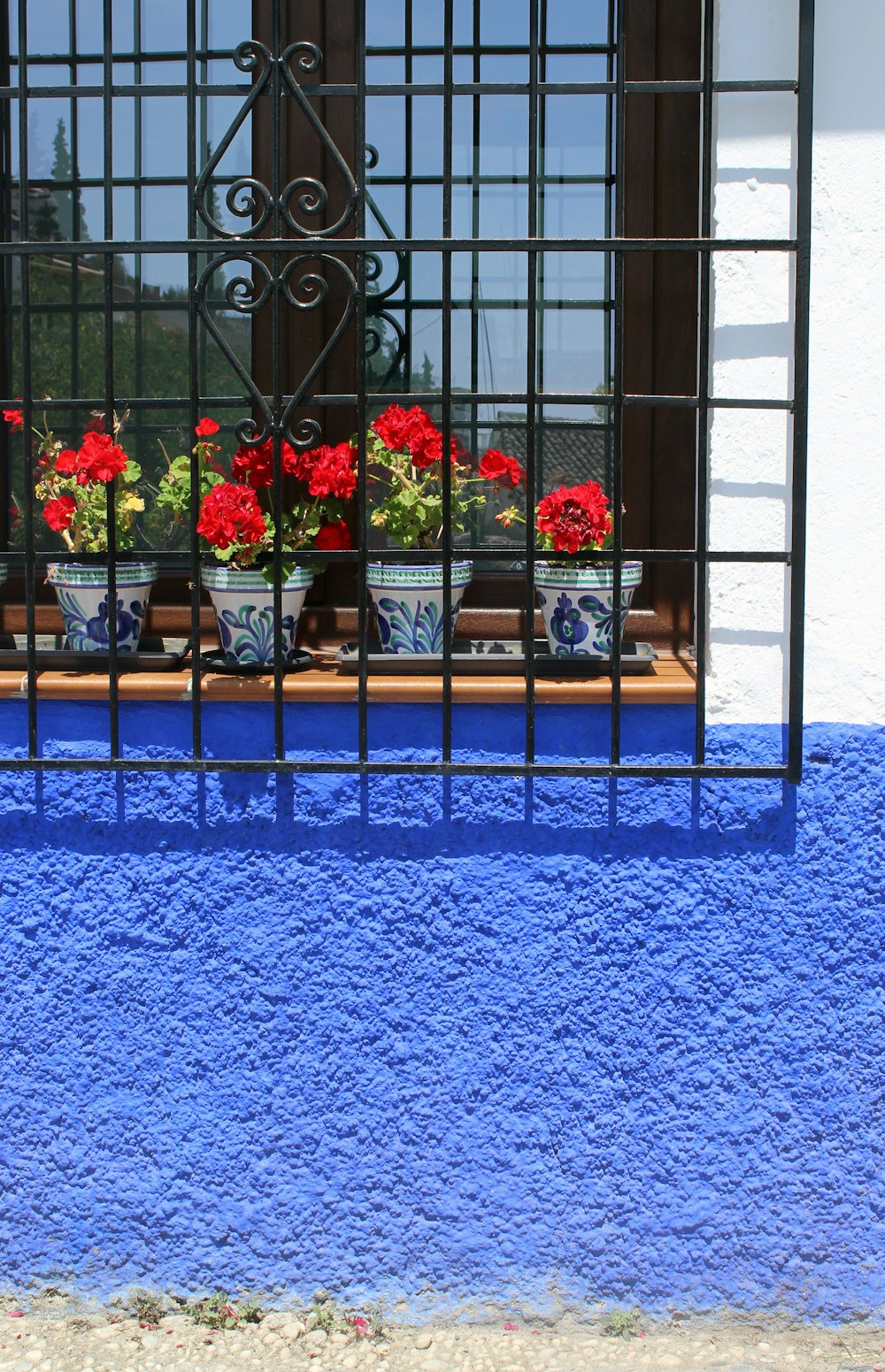 窓際の白と青の鉢植えの赤い花びらの花