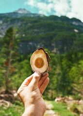 Hands holding recycled materials forming a circular symbol in a natural setting