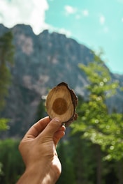 A hand holds a piece of round cut wood with a clearly visible growth ring pattern. The background features a blurred view of a mountainous landscape with trees, under a bright blue sky with a few clouds.