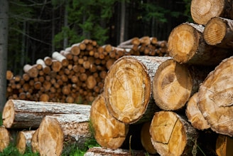 pile of log