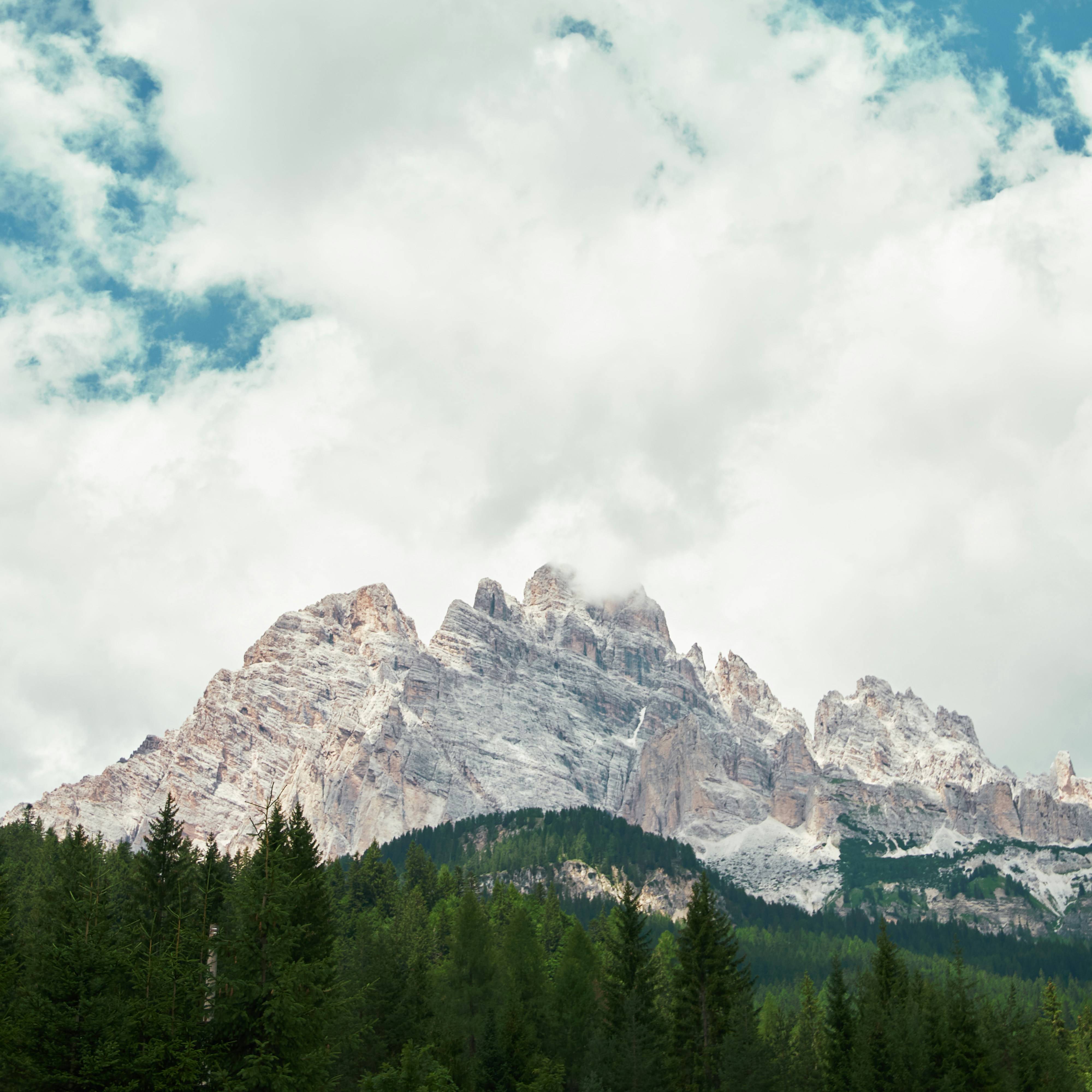 Photo by pavan_nicola