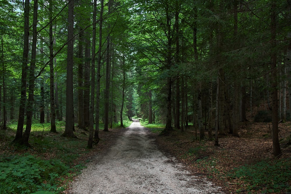 green trees