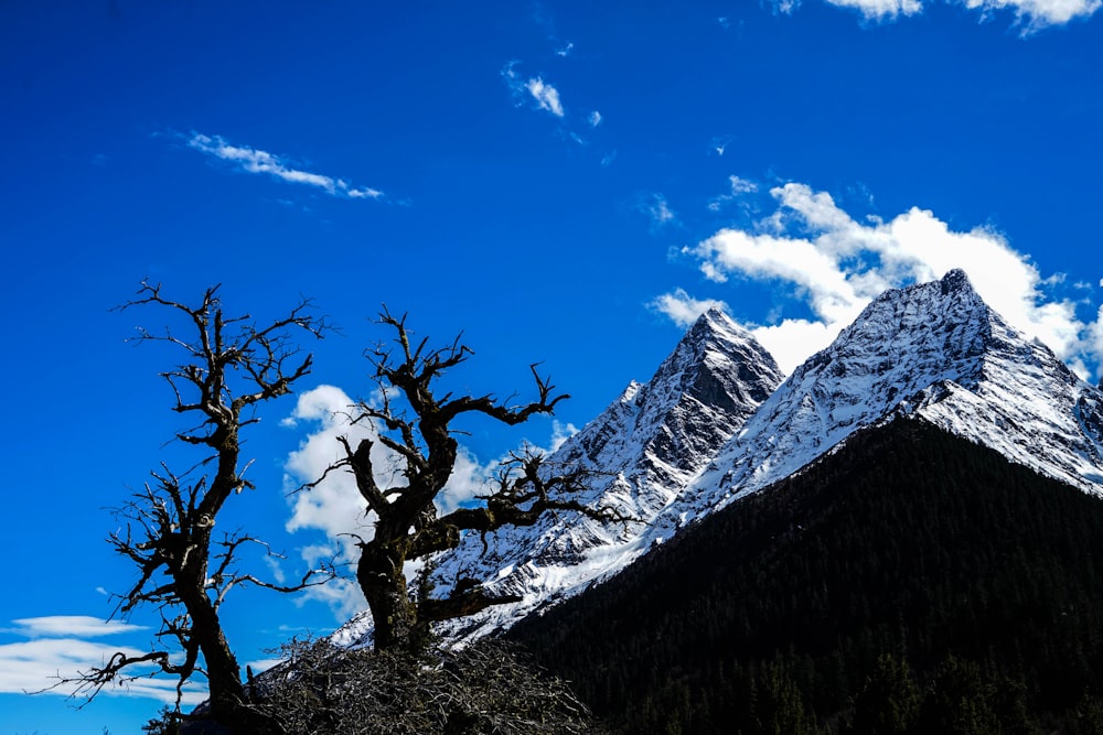 snow-caped mountain during daytime