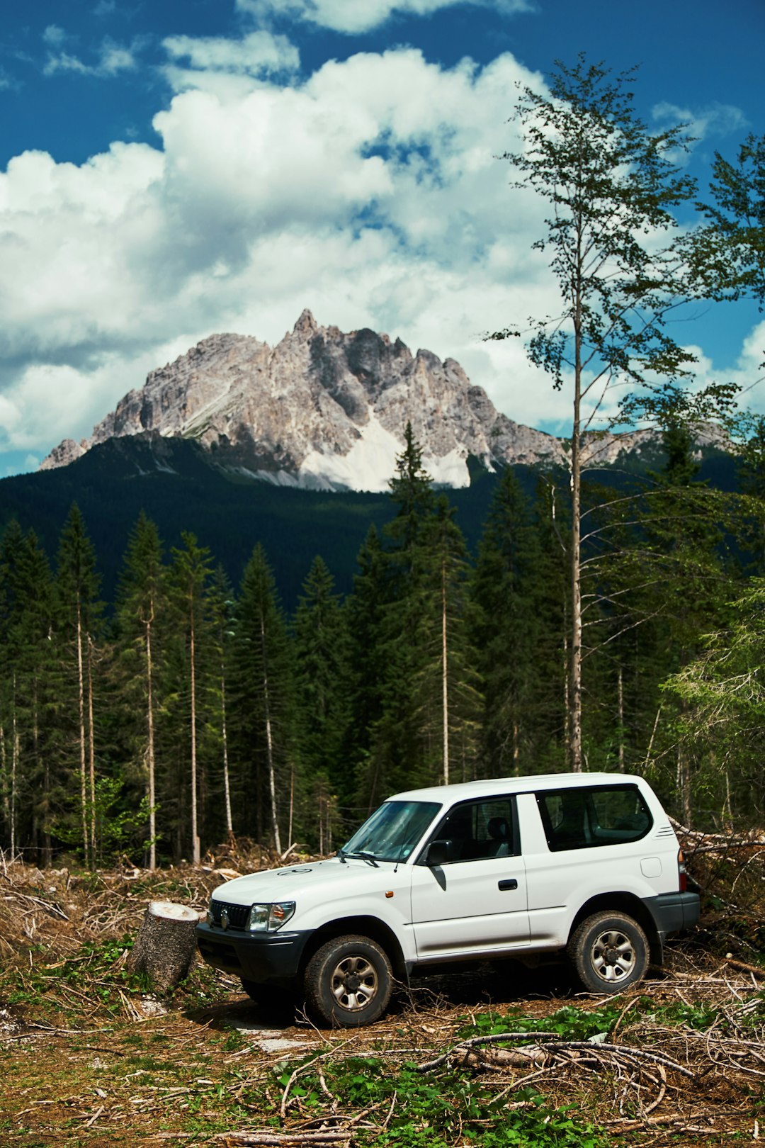 white vehicle parked near trees