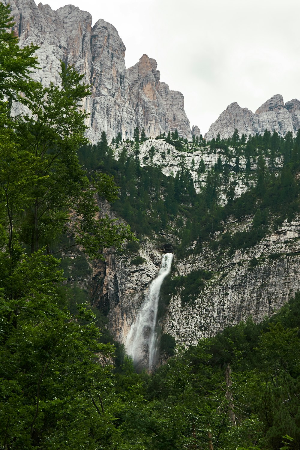 waterfall in forest